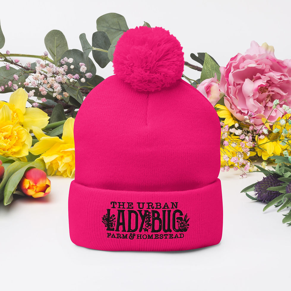 Thumbnail: The Urban Ladybug Farm Pom-Pom Beanie