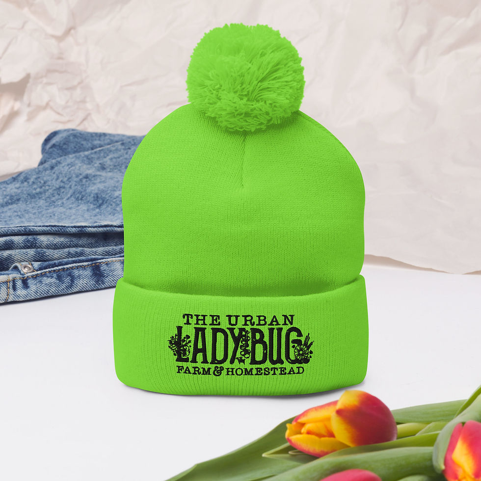 Thumbnail: The Urban Ladybug Farm Pom-Pom Beanie