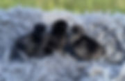 external-file_edited.jpg