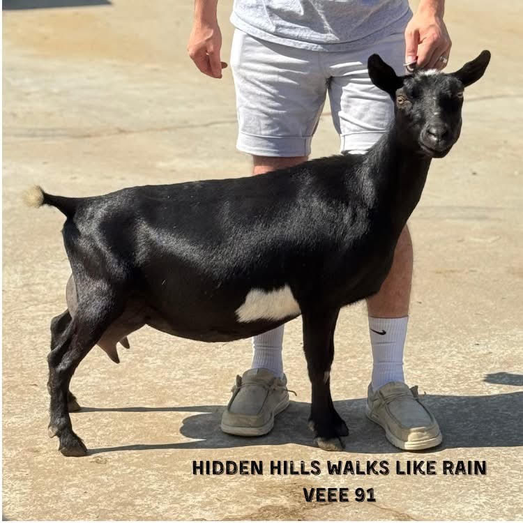 Storms Dam - Pic Credit: Hidden Hills Nigerians