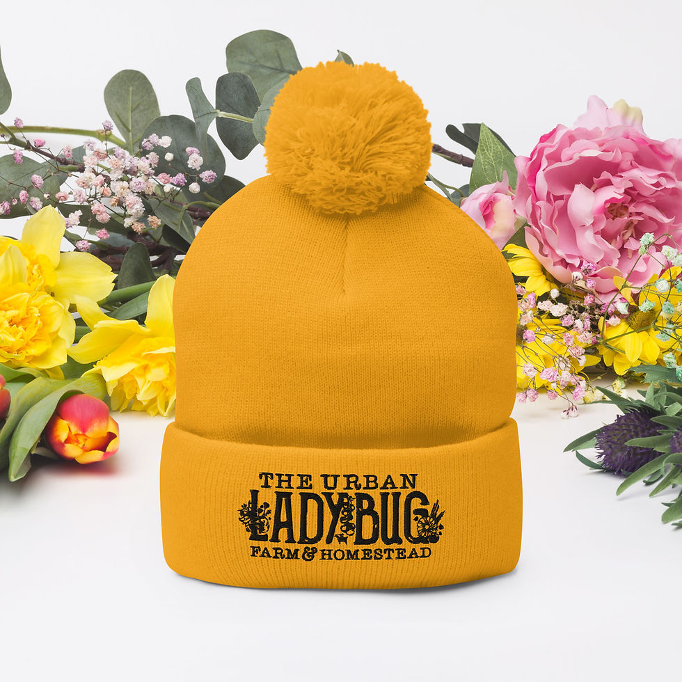 Thumbnail: The Urban Ladybug Farm Pom-Pom Beanie