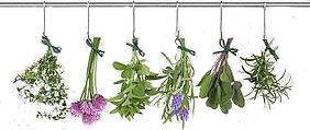 Herbs.jpg