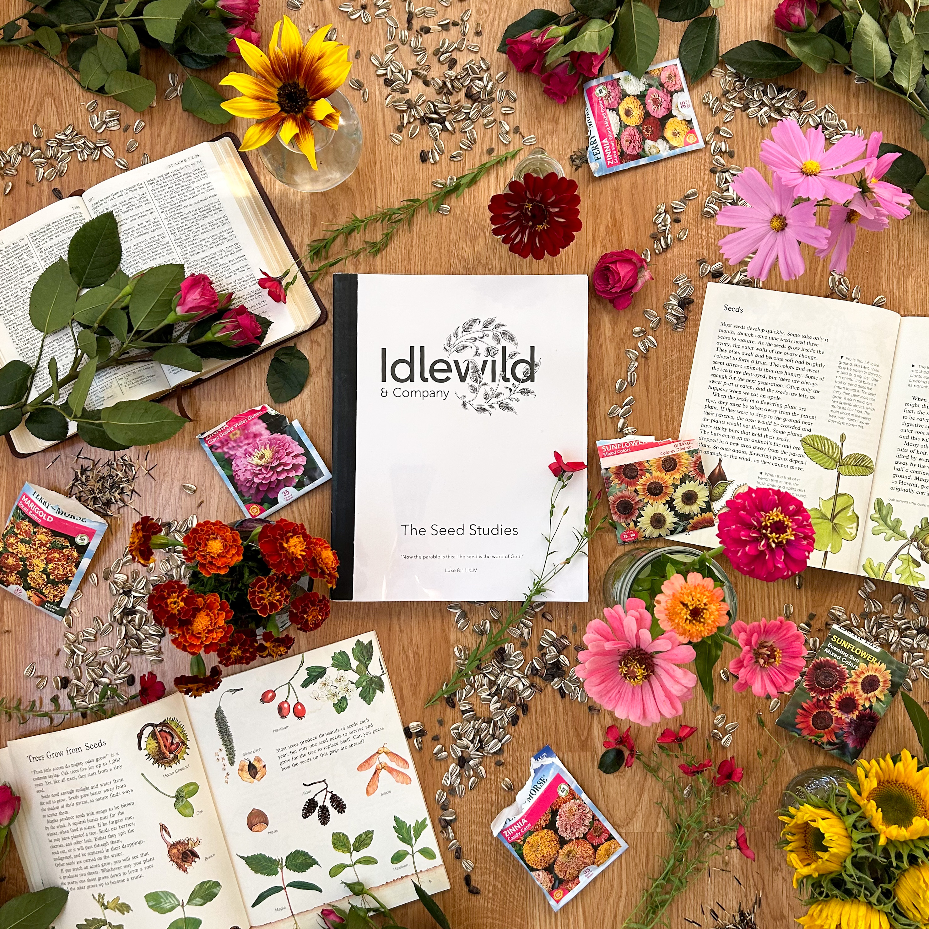 The Seed Studies