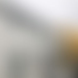 戸建て住宅塗装工事