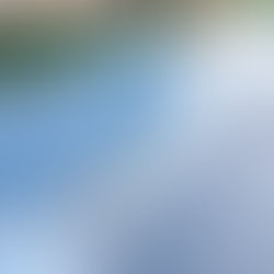 ウレタン塗膜防水工事 通期緩衝工法~目止め、補強クロス張り~