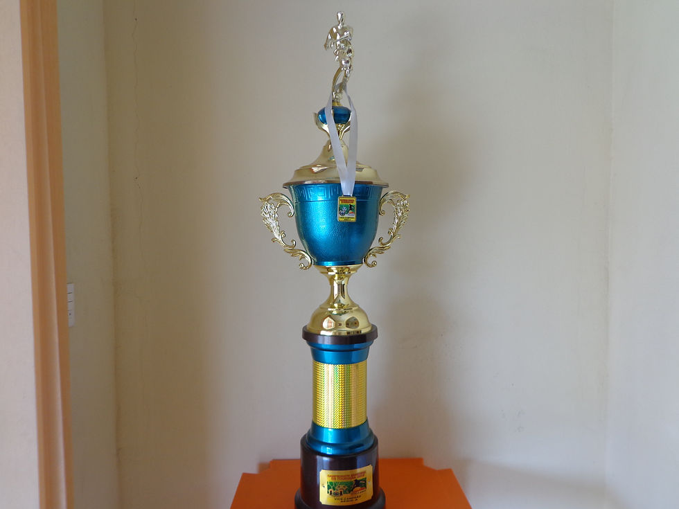 Vice campeão Municipal 2015
