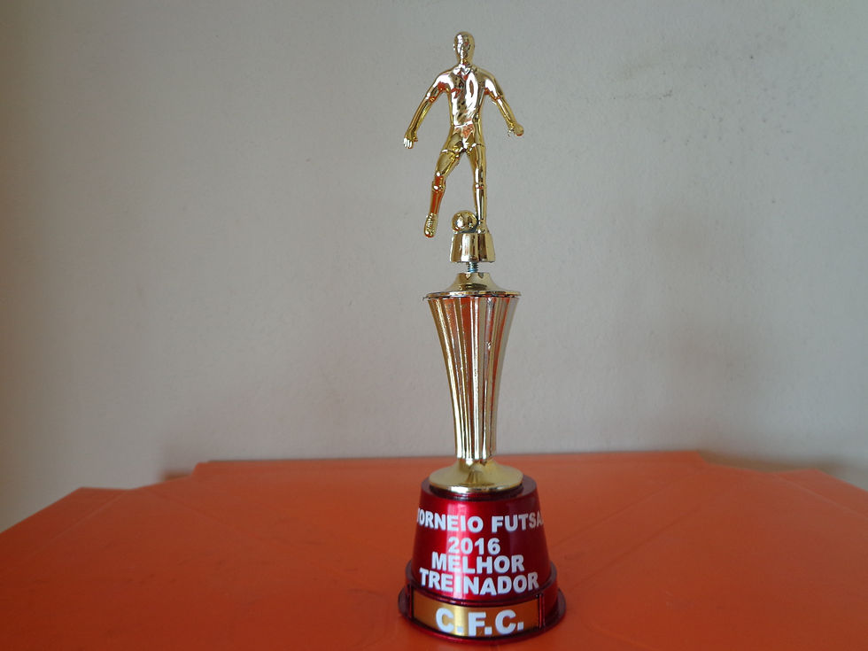 Melhor treinador de Futsal