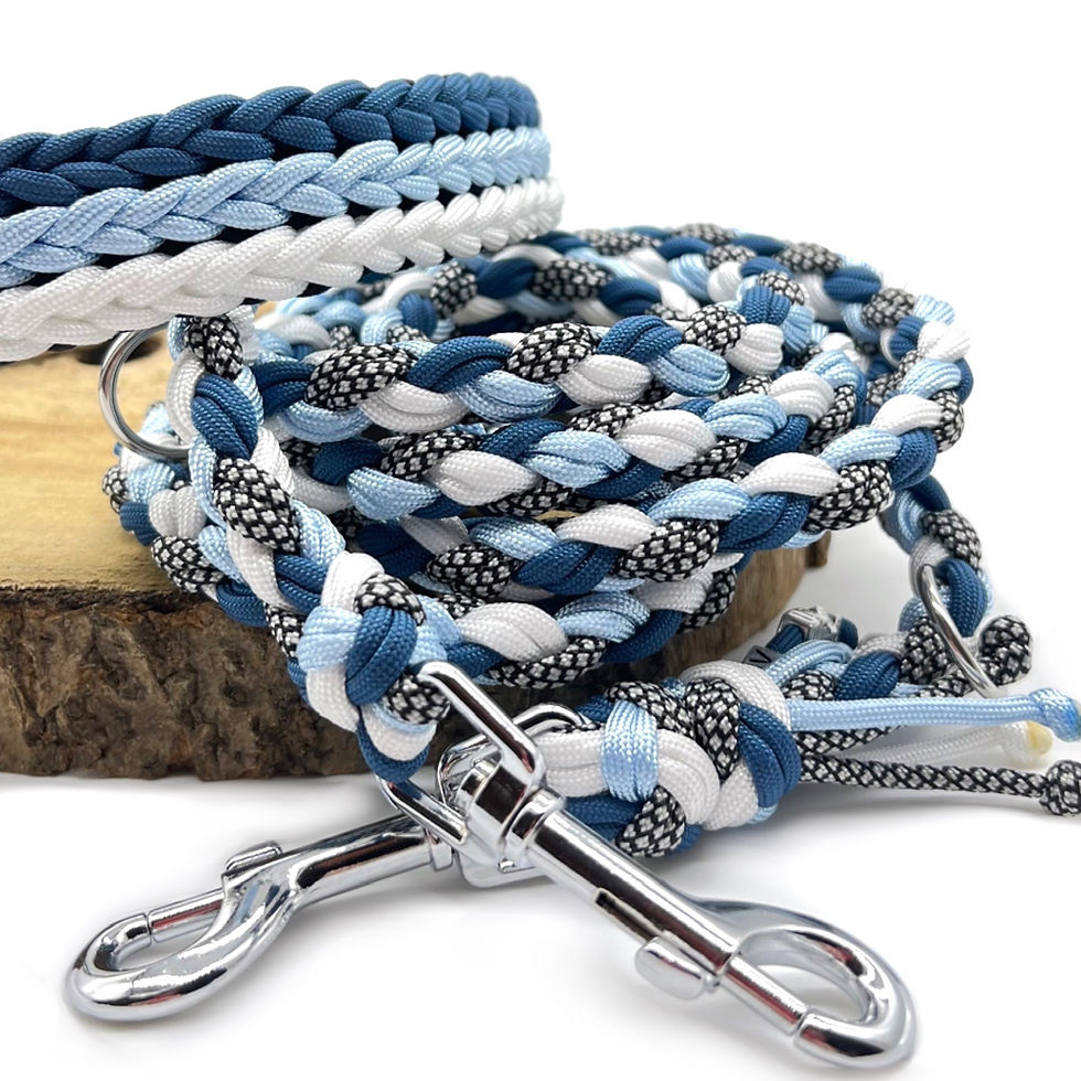 Miniaturbild: Leine Skyline