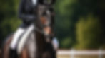 vecteezy_graceful-gaze-head-on-portraits-of-dressage-friese-and-rider_32488430.jpg