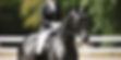 vecteezy_graceful-gaze-head-on-portraits-of-dressage-friese-and-rider_32489110.jpg
