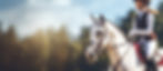vecteezy_teenage-girl-participating-in-advanced-dressage-test-on_27185336.jpg