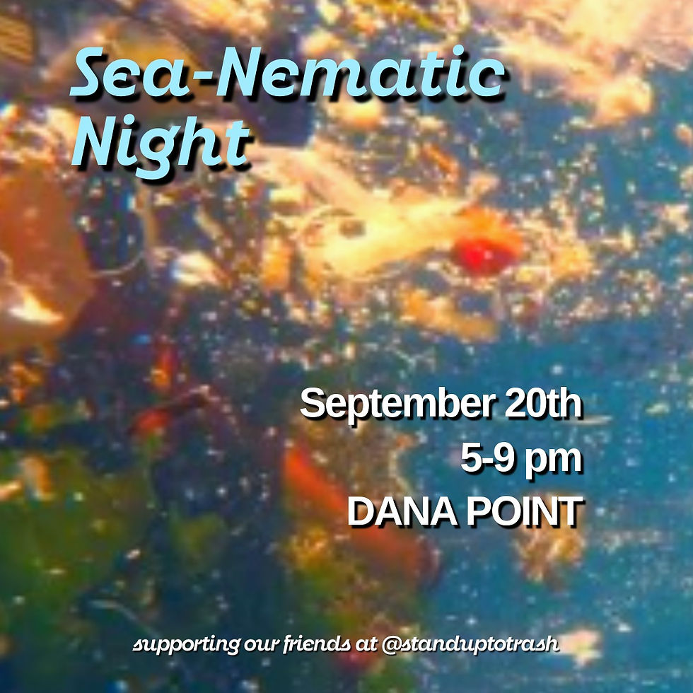 Sea-Nematic Night