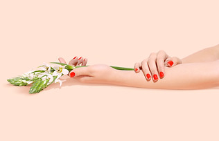 Manicured Hands