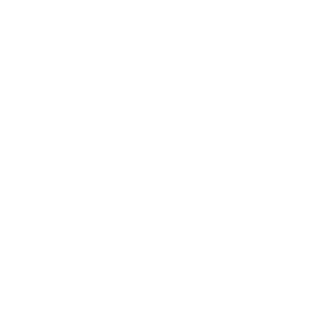 SteerLogoFullWhite.png