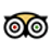 Trip Advisor App Icon