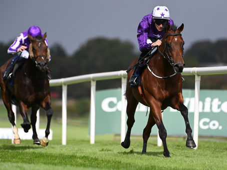 'A smart prospect' - Persian Force colt Salt Lake impressive at Naas