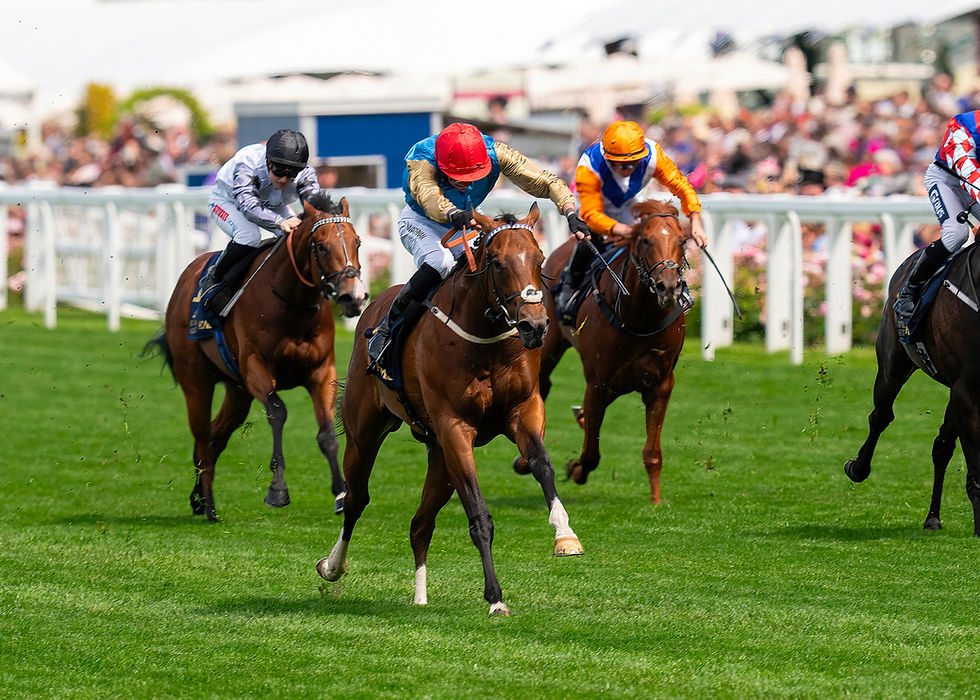 Shareholder to stand at Tally-Ho Stud