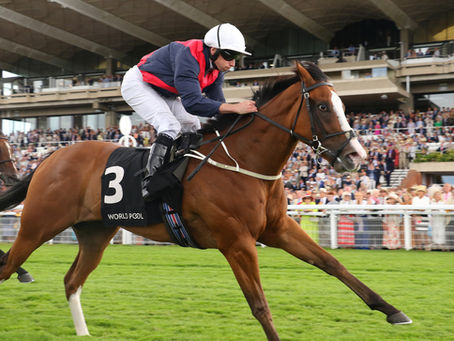 'She was cantering all over them' - Nunthorpe next for Starman's Lady Iman after easy Molecomb win