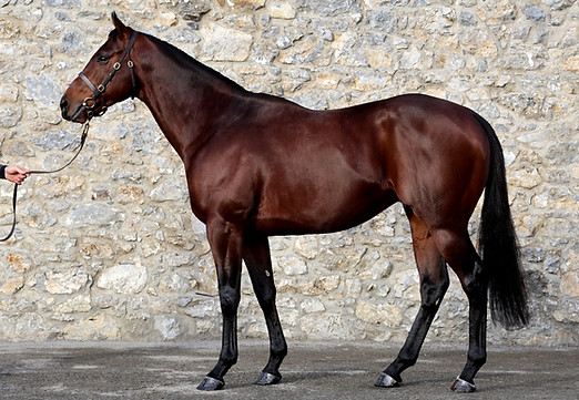 Big Evs conformation 2025 WEB.jpg