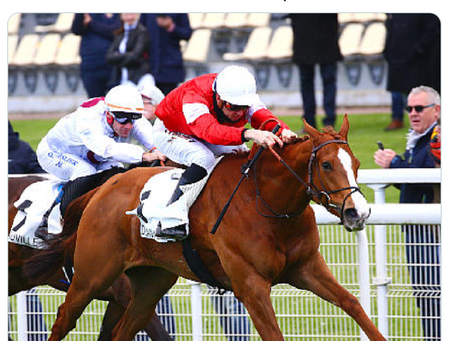 Tally-Ho-bred Malavath impressive in Imprudence return