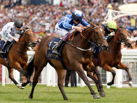 Tally-Ho bred Venetian Sun shines brightest for Starman in Albany success