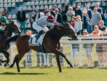 Mehmas 3yo Afandy impressive in Djebel win for Al Shaqab