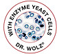 enzyme yeast cells round.jpg