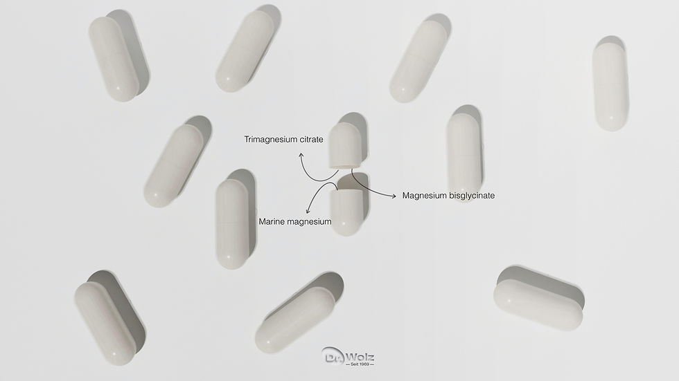 Dr Wolz Magnesium Complex