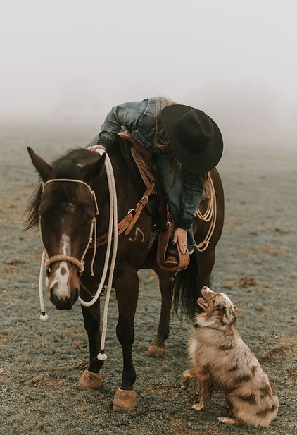 western lifestyle