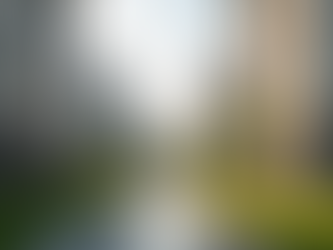 Administración de gastos comunes: nuestra propuesta única