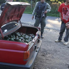Mexico's Avocado Boom Benefits Rural Farmers And Crime.