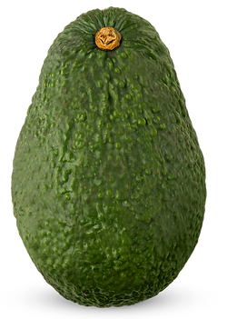 avostackkk.png