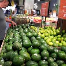 Avocado Market Raising Quickly In Europe.