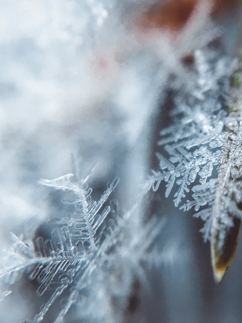 winter.webp