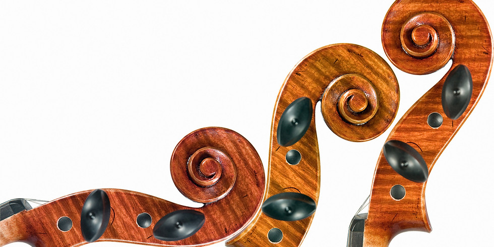 Charleston Chamber Music Institute