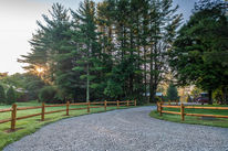DJI_0859.jpg
