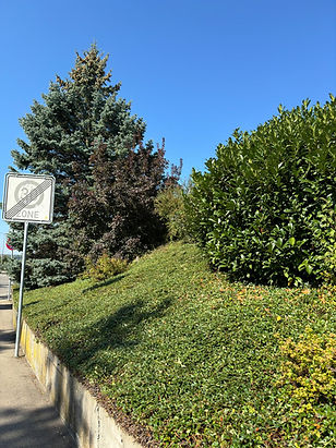 WhatsApp Bild 2024-11-10 um 12.20.46_160d79a0.jpg