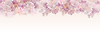 www.orquideaonline.com.br (Apresentação) (1).png