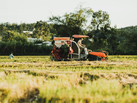 What Are the Risks of Using Agricultural Finance?