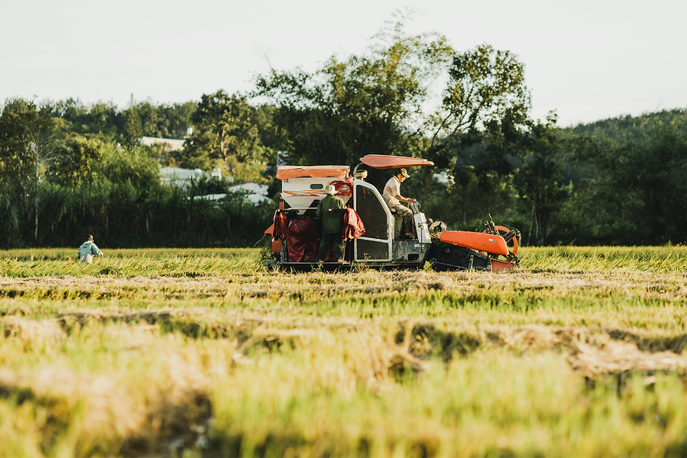 What Are the Risks of Using Agricultural Finance?