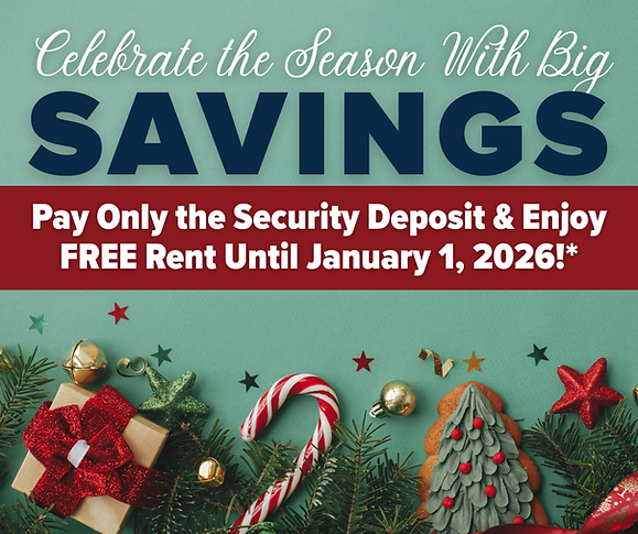 Thunderbird december.png