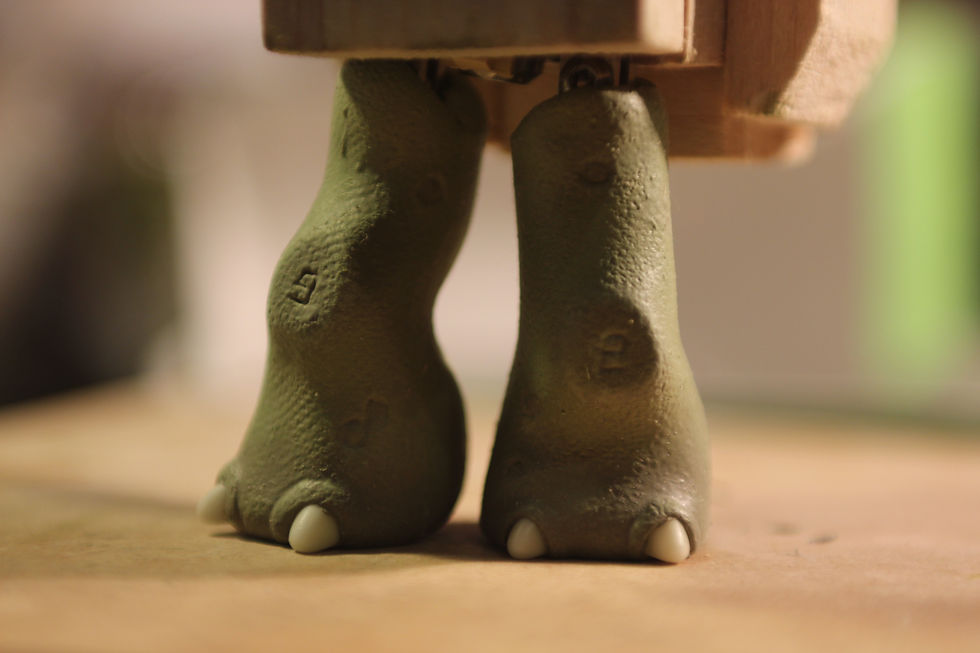 Tortoise Toes!