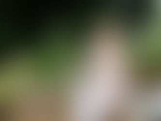 What Are Protection Codes?