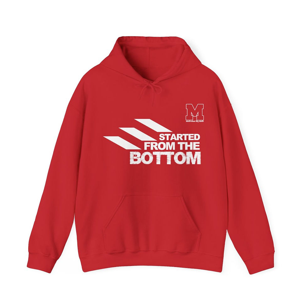 Thumbnail: Started From The Bottom  Hoodie