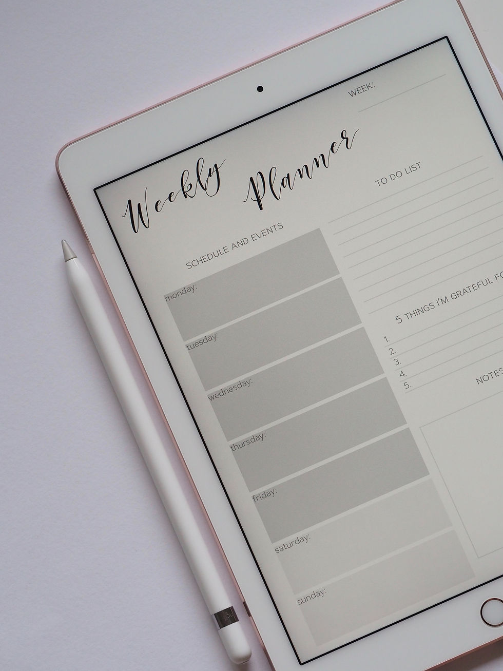 Overhead shot od a weekly planner on an iPad.