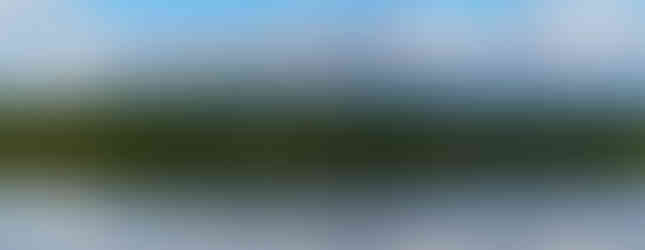 Alaskan mountains behind a lake separated by a forest of pines.