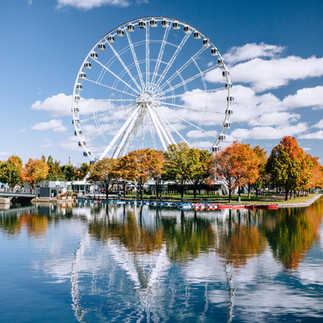 Ferris wheel on a bright, autumn day, with trees under it turning, red and orange.