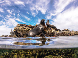 10 Hidden Gems in Cabo San Lucas You Need to Visit