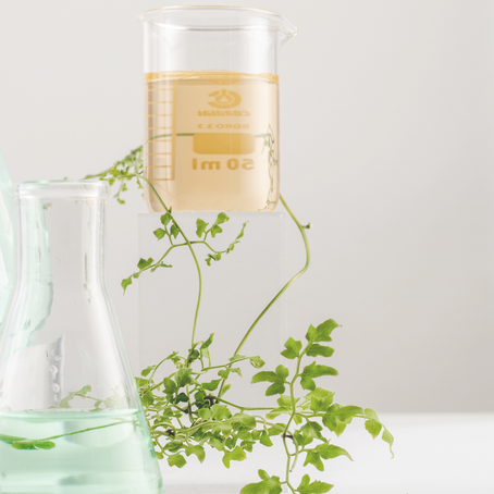 Unlock Your Health Potential With Functional Health Labs