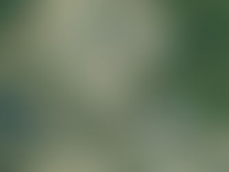 N080 원봉리2 설계계약 [세종시]​​